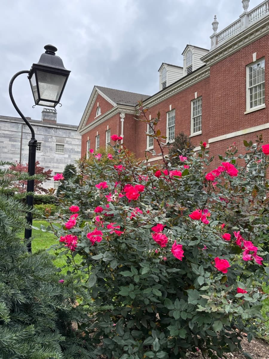 Historic Philly for Kids (Ages 5–12) photo 1