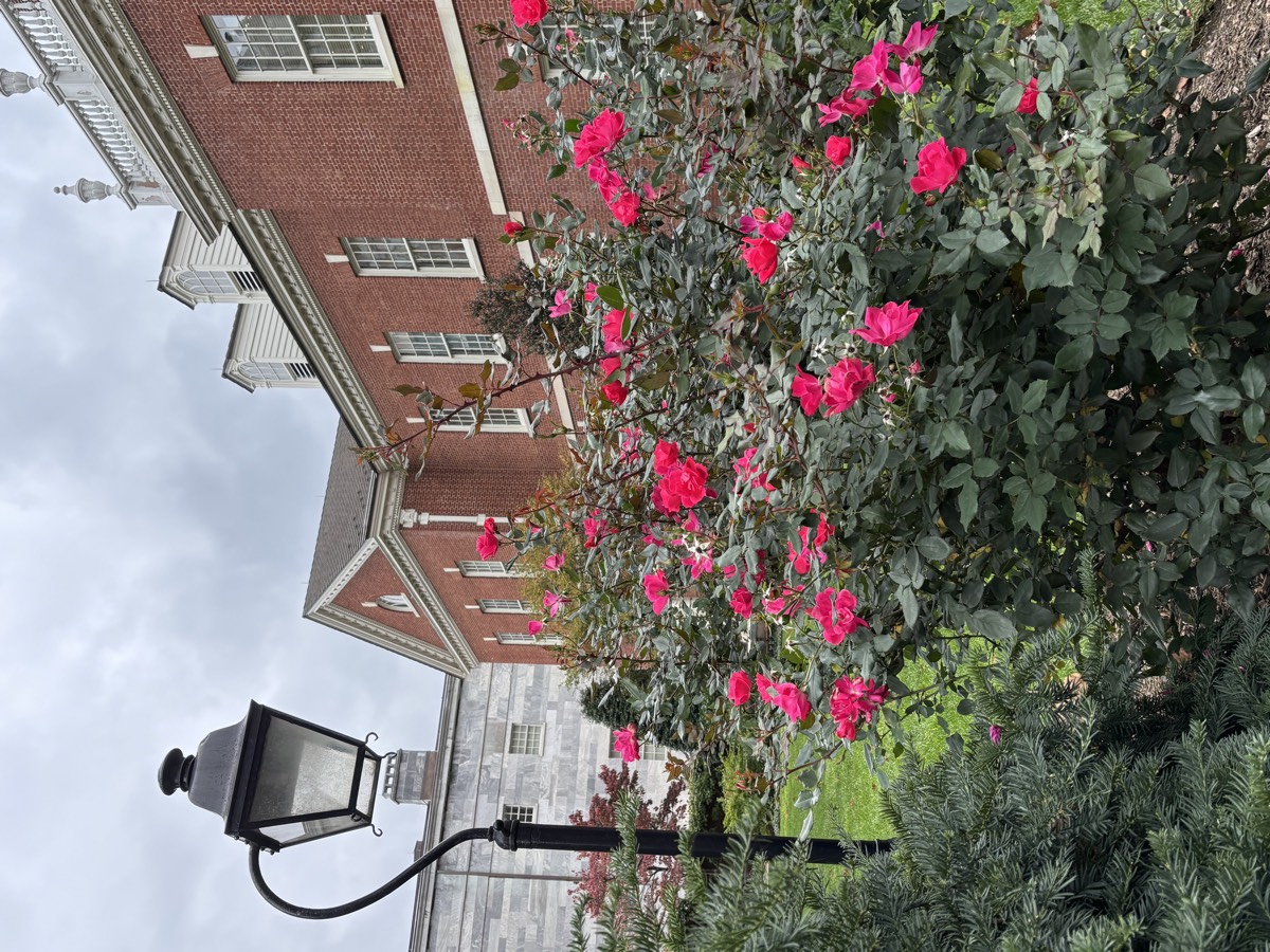 Philadelphia tour scene